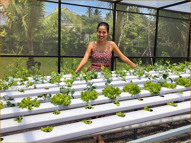 hydroponic garden | health and detox wellness in Thailand